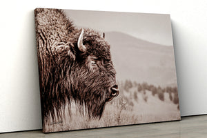 Bison wall art print - rustic buffalo photography on canvas by Debra Gail Fine Art