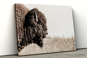 Neutral Bison Wall Art - Rustic Western Decor | Prairie Wildlife Canvas Print
