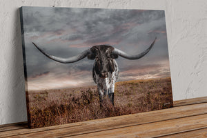 Texas Longhorn Wall Art | Huge Horns Rustic Western Canvas Print