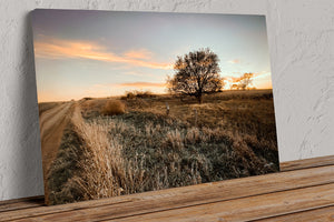 Prairie Sunset Canvas Wall Art | Kansas Flint Hills Rustic Landscape Print