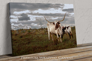 Longhorn Canvas Wall Art – Texas Longhorn Art Rustic Western Decor Print