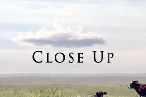 buffalo split panel triptych wall art – rustic Western canvas prints