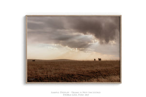 Black Angus cattle wall art – rustic Western photography print by Debra Gail Fine Art