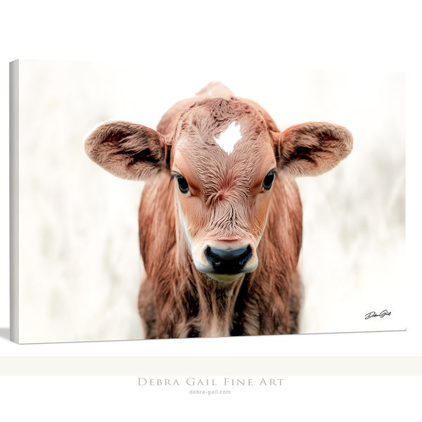 CUTE COW CALF CANVAS PICTURE - FARMHOUSE DECOR