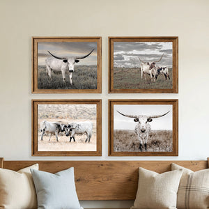 Neutral Texas Longhorn Wall Art — Set of 4