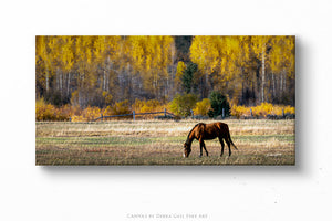 Horse wall art – panoramic rustic Western fine art print by Debra Gail Fine Art
