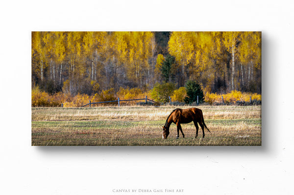 HORSE PANO WALL ART PRINT OR CANVAS - RUSTIC ARTWORK