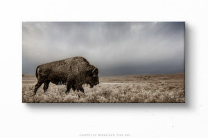 Bison Panoramic Wall Art - Rustic Western Farmhouse Canvas Print