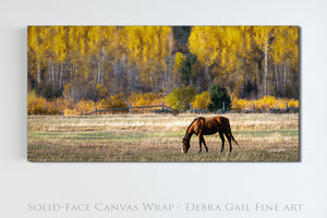 Horse Panoramic Wall Art Canvas Print | Western Landscape Wall Art