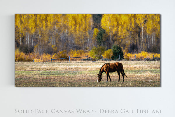 WESTERN HORSE ART PRINT - WYOMING PHOTOGRAPHY 2:1