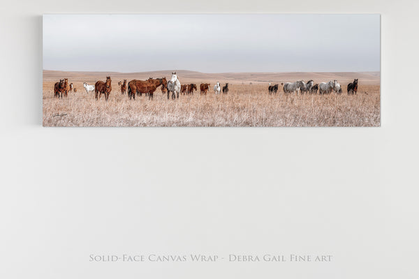 WILD HORSES PANORAMIC PRINT - KANSAS PHOTOGRAPHY 3:1