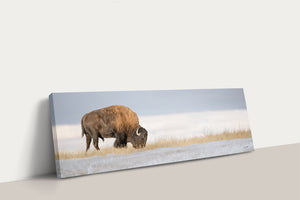 Bison Panoramic Wall Art | Extra Wide Western Decor Canvas
