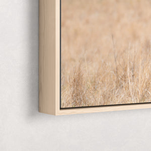 Longhorn Cow and Calf Wall Art Decor | Western Fine Art Photograph