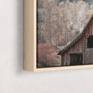 Buffalo Wall Art - Rustic Bison Prairie Framed, Canvas, Barnwood Framed