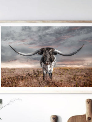 Texas Longhorn wall canvas barnwood framed Western fine art print by Debra Gail Fine Art