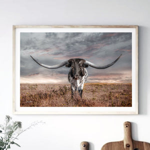Texas Longhorn wall canvas barnwood framed Western fine art print by Debra Gail Fine Art