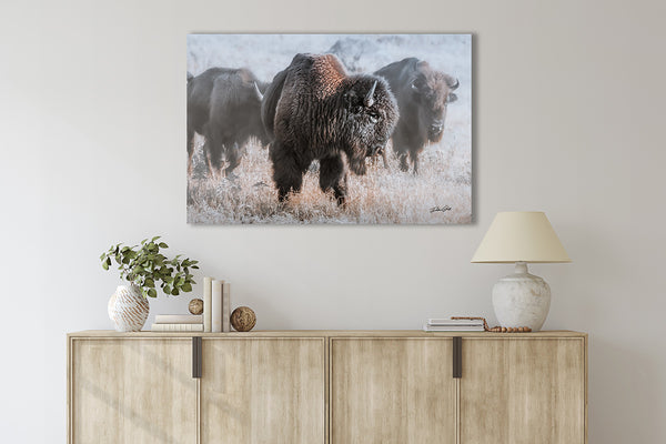 Bison in the Snow - Rustic Art Canvas Print No. 7745