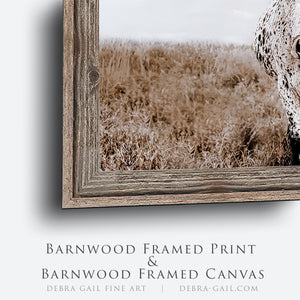Texas Longhorn Wall Art | Panoramic Wide Neutral Western Canvas Print