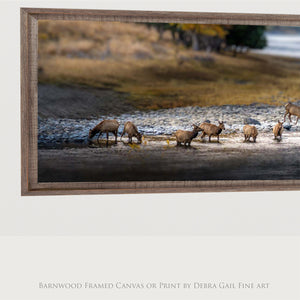 Wild Elk Wall Art – Rustic Western Canvas Print | Large Panoramic Elk Herd Decor