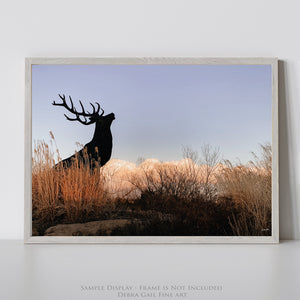 Bull Elk Wall Art – Contemporary Western Luxe Wildlife Print