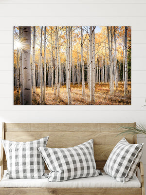 Western landscape wall art – rustic farmhouse photography by Debra Gail Fine Art