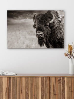 Bison wall art – neutral sepia rustic prairie photography print by Debra Gail Fine Art