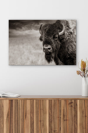 Bison wall art – neutral sepia rustic prairie photography print by Debra Gail Fine Art
