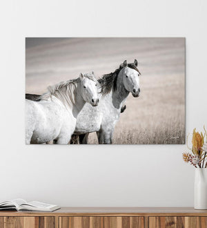 Mustang Horse Print - Perfect for Horse Lovers