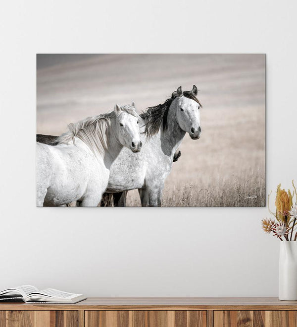 Mustang Horse Print - Perfect for Horse Lovers