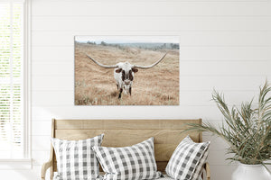 Texas Longhorn wall art – Western ranch photography print by Debra Gail Fine Art