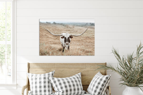 Longhorn Cow Print or Canvas - Neutral Farmhouse Artwork