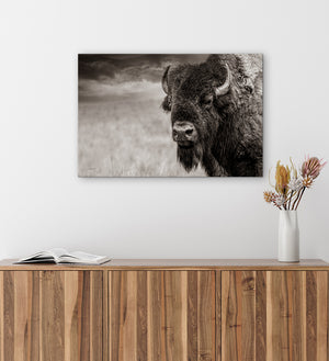 Buffalo Bison wall art canvas – rustic prairie photography print by Debra Gail Fine Art