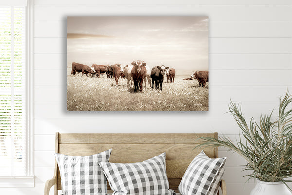 CATTLE ART PRINT - KANSAS PHOTOGRAPHY