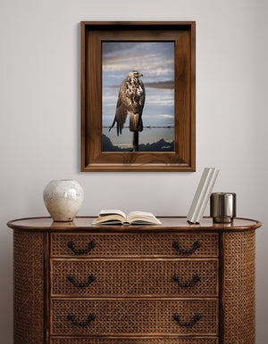Hawk Art Print | Western Gothic Decor | Wildlife Photography | Rustic Wall Art Canvas