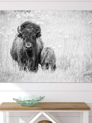 Bison wall art – rustic prairie photography print by Debra Gail Fine Art