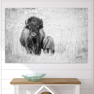 Bison wall art – rustic prairie photography print by Debra Gail Fine Art