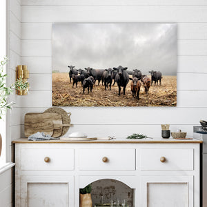 Black Angus Cattle Wall Art Canvas – Rustic Western Farmhouse Print