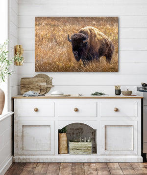 Bison Wall Art | Neutral Prairie Wildlife Fine Art
