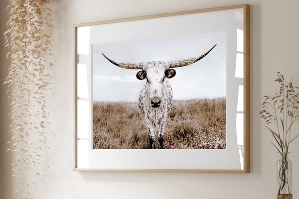 Texas Longhorn Cow Print, No. 0505CS