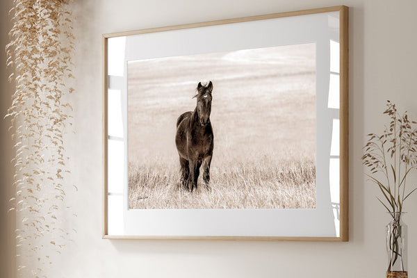 Wild Mustang Print or Canvas, Barnwood Frame Options