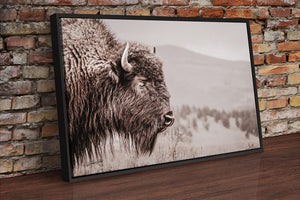 Bison wall art print - rustic buffalo photography on canvas by Debra Gail Fine Art