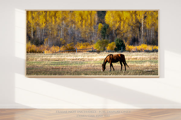 HORSE PANO WALL ART PRINT OR CANVAS - RUSTIC ARTWORK