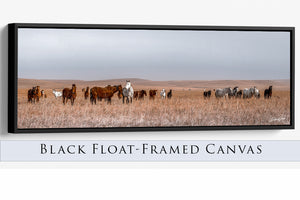 Horse wall art – wide picture of horses Western fine art print by Debra Gail Fine Art