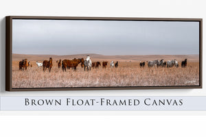 Horse wall art – wide picture of horses Western fine art print by Debra Gail Fine Art