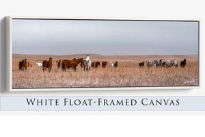 Horse wall art – wide picture of horses Western fine art print by Debra Gail Fine Art