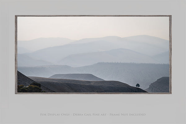 Solitary Tree in the Misty Wyoming Mountains - Fine Art Landscape