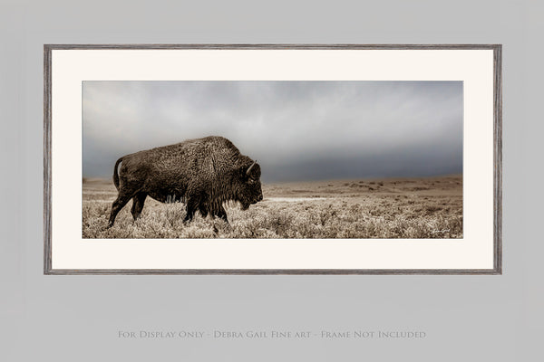 American Bison Panoramic Western Wall Art Canvas or Print