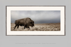 Bison wall art – rustic prairie photography print by Debra Gail Fine Art
