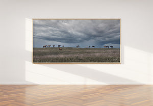 Wild Horse Wall Art - Panoramic Western Canvas Print | Rustic Framed Decor