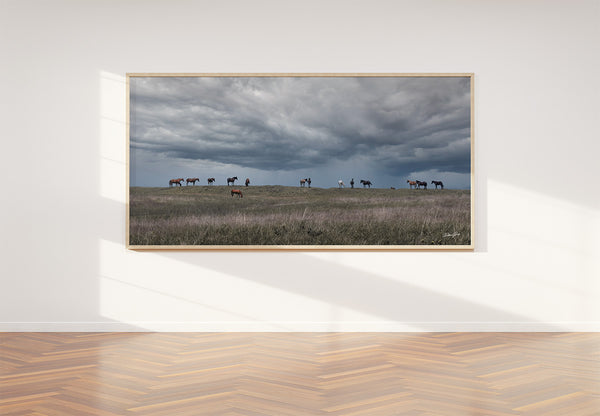 WILD HORSES - STORMY KANSAS SKY 2:1